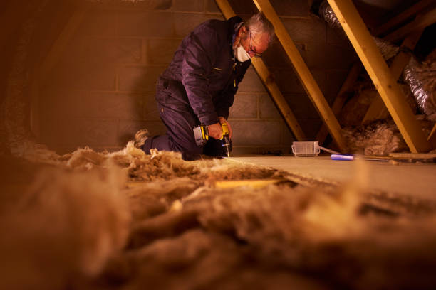 Eco-Friendly or Green Insulation Solutions in Sylvester, GA